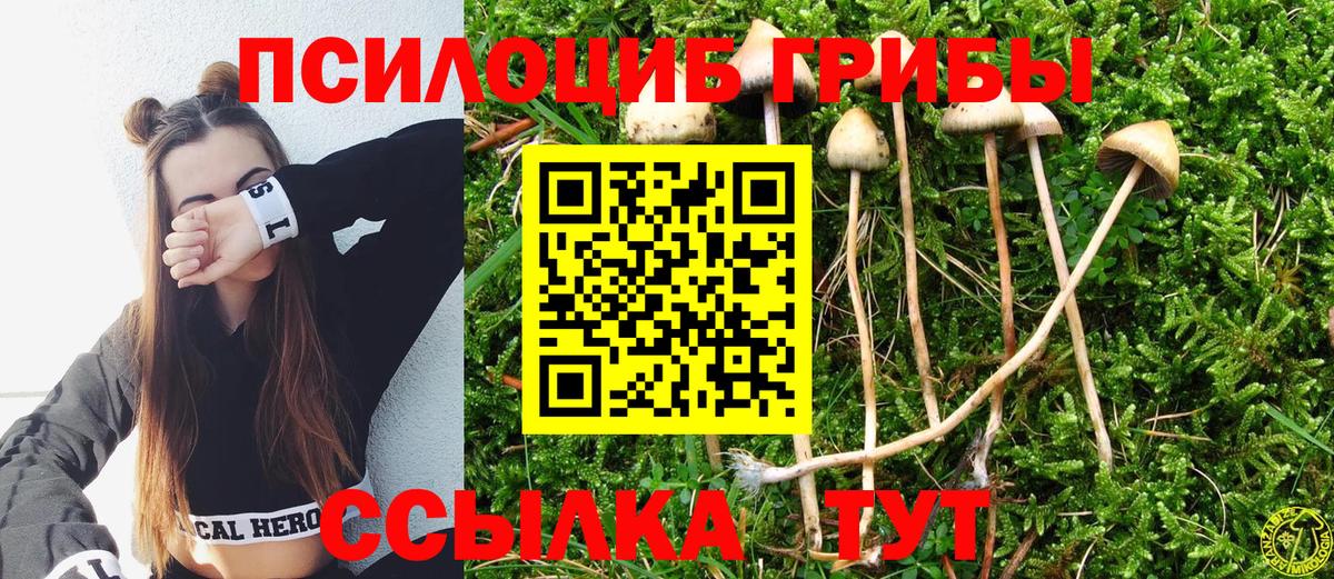 Галлюциногенные грибы ЛСД  Вход с VPN  Бердск 