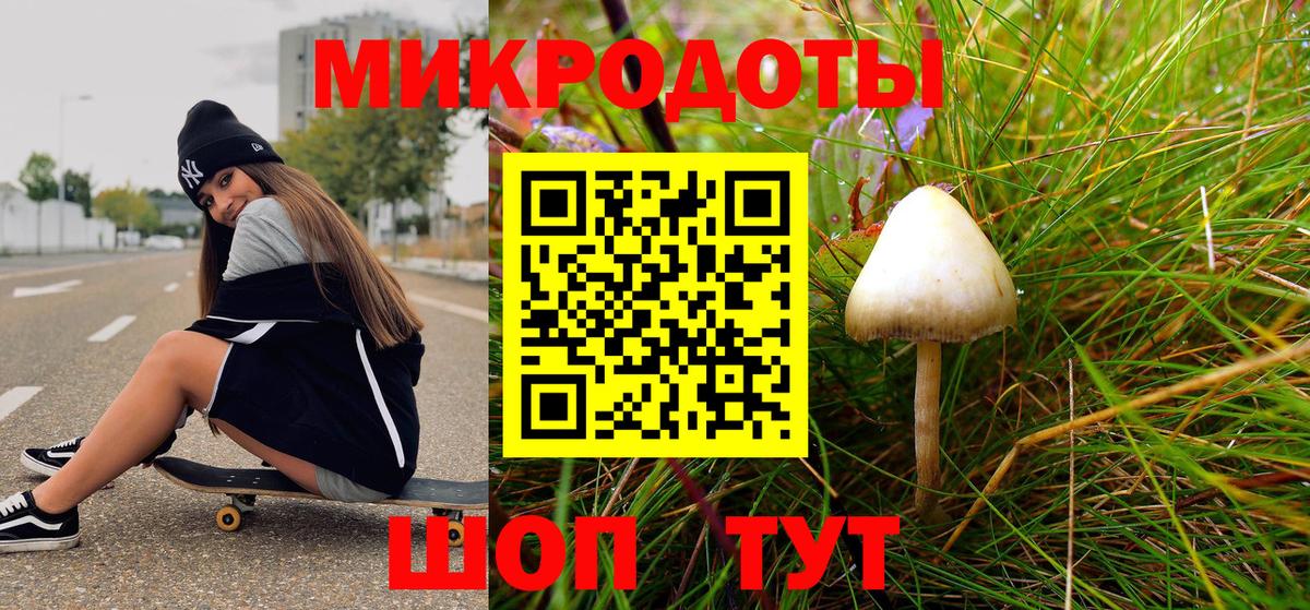 Псилоцибиновые грибы ЛСД Бердск